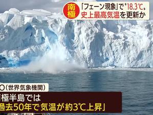 南极最新爆料新闻视频,揭秘未知的冰原奥秘